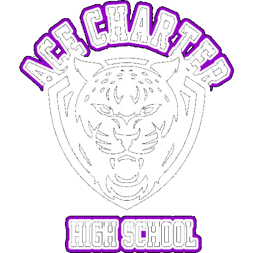 Ace Charter Cheetahs logo