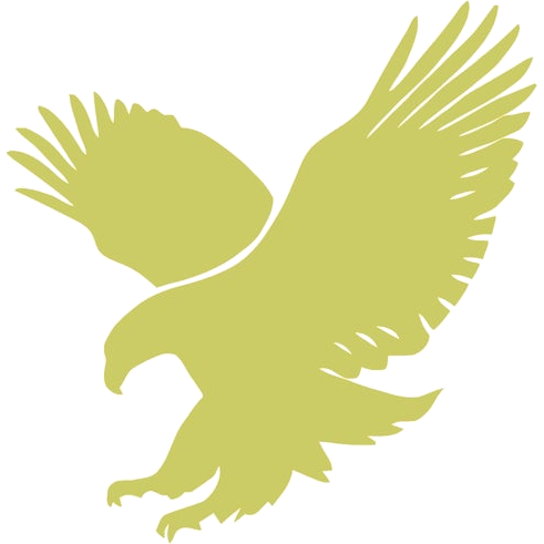 American Youth Academy Eagles logo