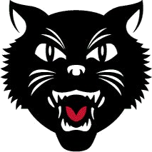 Aurora East logo