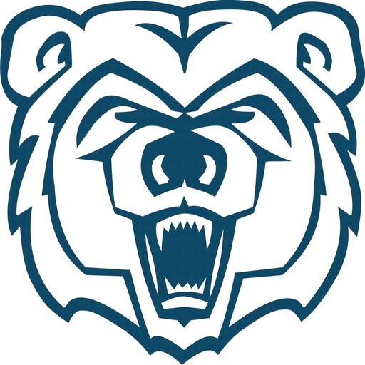 Ava logo