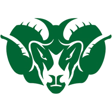 Badin logo