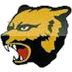 Barron logo