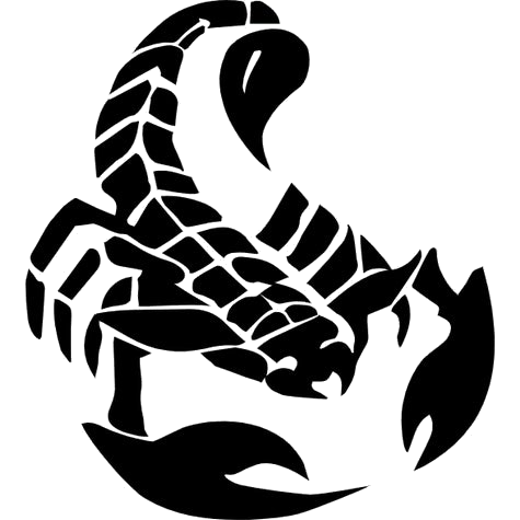 BASIS - Peoria logo