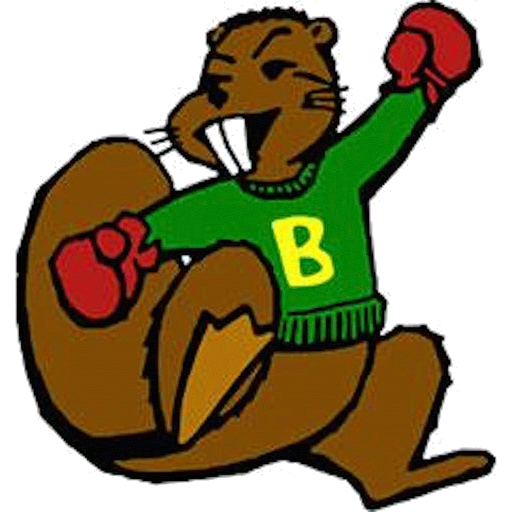 Beaver Dam logo