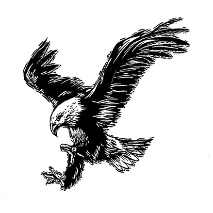 Bellingham logo
