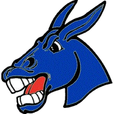 Bernie logo