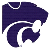 Blue Springs logo