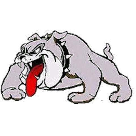 Boyceville logo