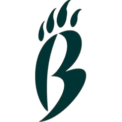 Brashier Middle College Charter Bengal logo