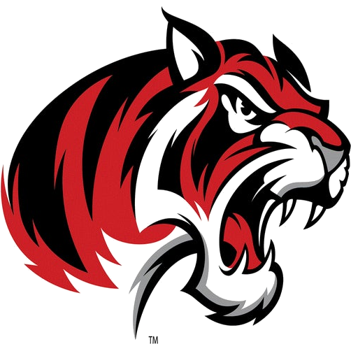Braswell logo