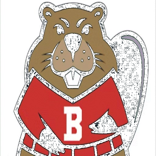 Brearley logo