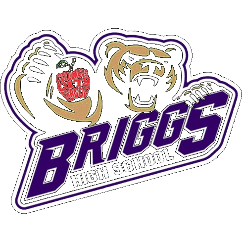 Briggs logo