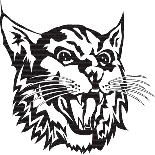 Bronaugh logo