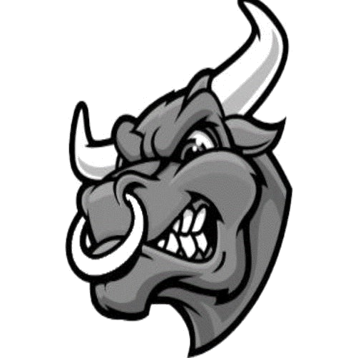 Bronx Studio logo