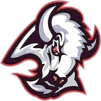 Buffalo logo