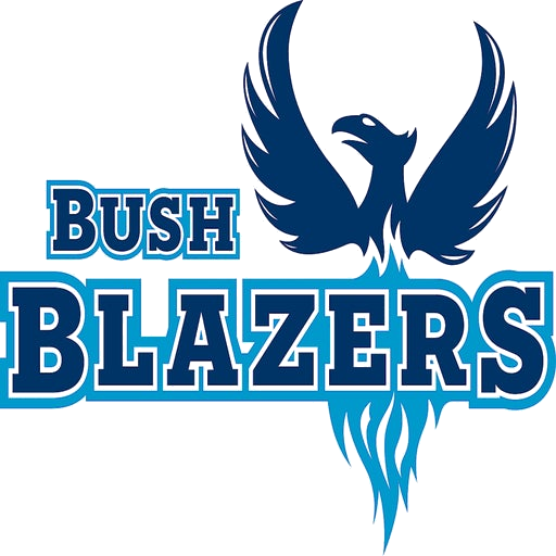 Bush logo
