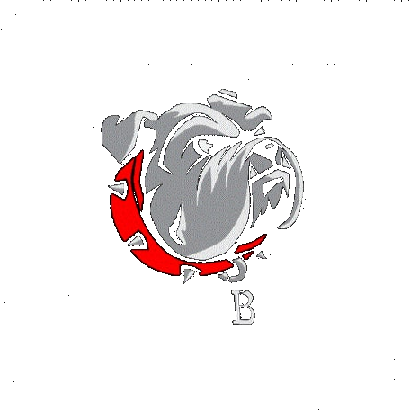Ballard logo