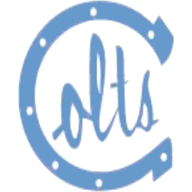 Carson logo