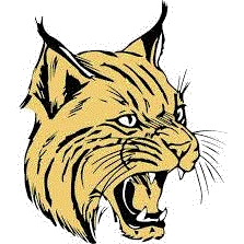 Cassville logo
