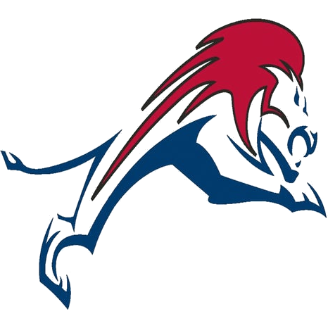 Chaminade-Madonna logo