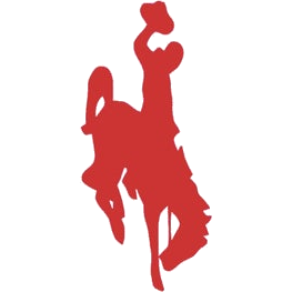 Chaney logo