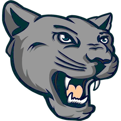 Palisades logo