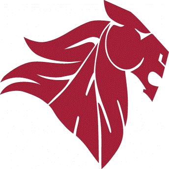 Chatfield logo