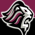 Chelmsford logo