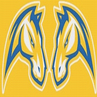 Chicopee Comp logo