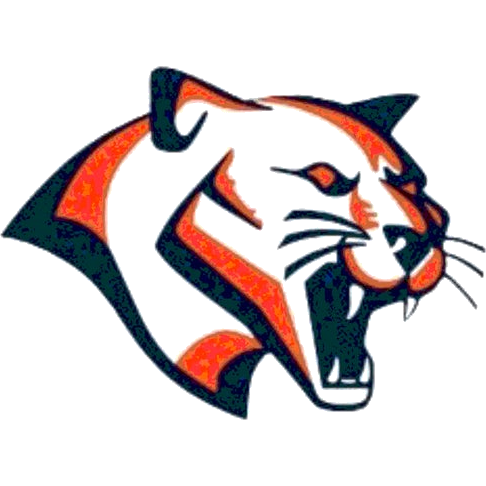 Carson logo