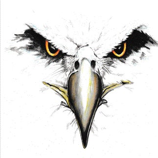 Christian Learning Academy Eagles logo