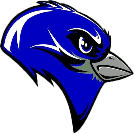 Cole Camp logo