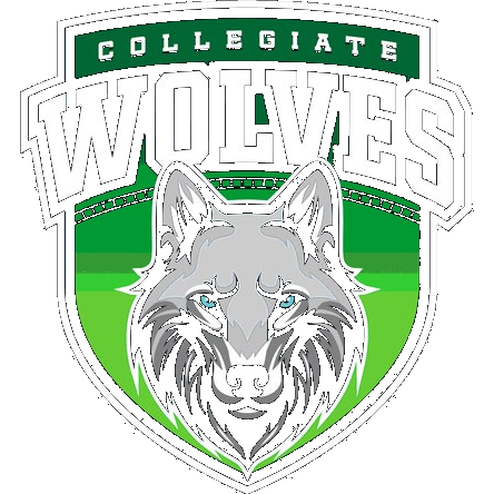 Collegiate Charter School Of Lowell logo