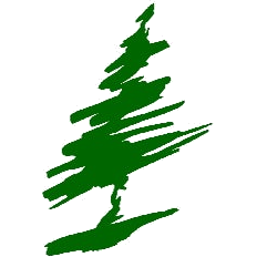 D.C. Everest logo