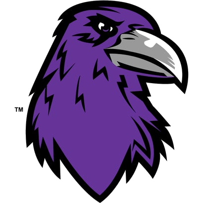 Denver South logo