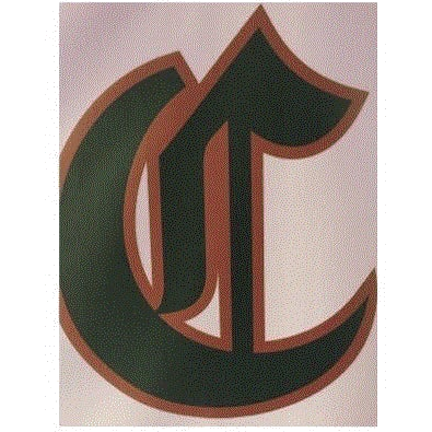 Desert Heights Prep Coyotes logo