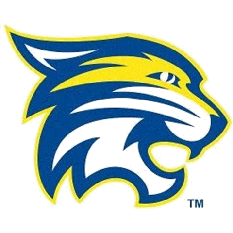 Donelson Christian Academy Wildcats logo
