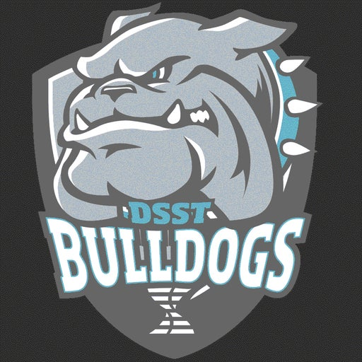 DSST: Elevate Northeast logo