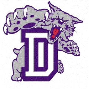 Duluth logo