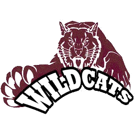 Fall Mountain logo