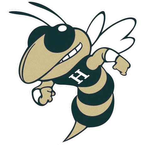 Hapeville Charter Stingers logo