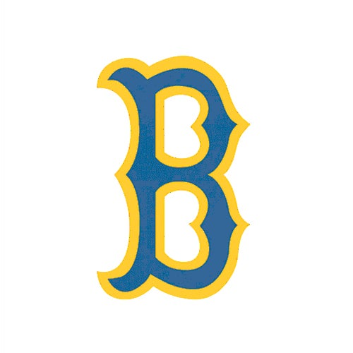 High Tech CV logo