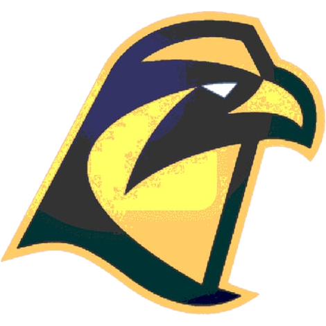 Hill Freedman World Academy Hawks logo