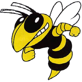 Hinsdale South logo