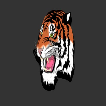 Hurley logo