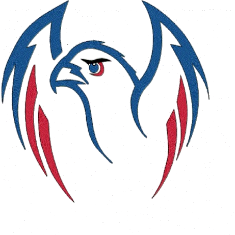 Innovation Academy Red Tailed Hawk logo