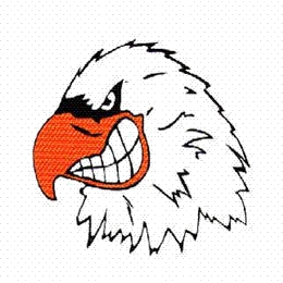 Jasper logo