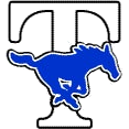 Katy Taylor logo