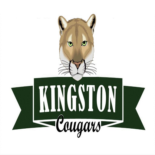 Kingston logo