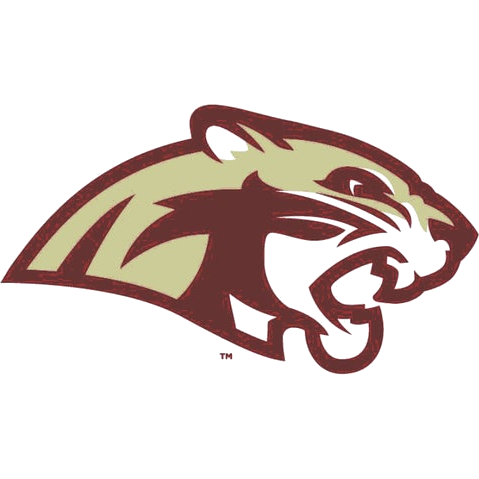 Lakeville South logo
